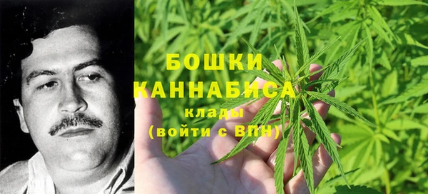 стафф Верея