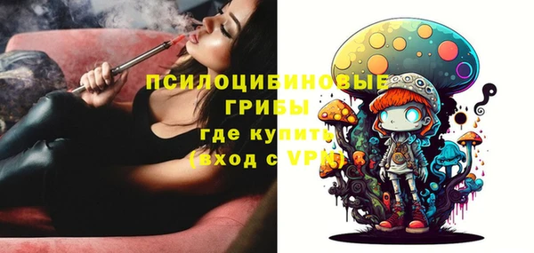стафф Верея