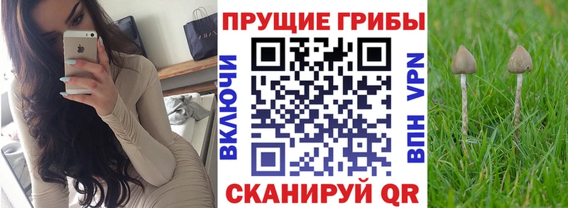 Галлюциногенные грибы GOLDEN TEACHER  Ярославль 